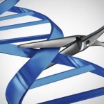 Gene Editing